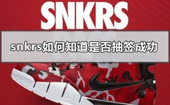 snkrs中签结果查看方法