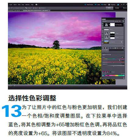 PS怎么调整油菜花图片的光线与色彩(12)