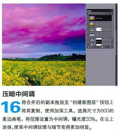 PS调整油菜花图片的光线与色彩(15)