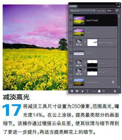 PS调整油菜花图片的光线与色彩(16)
