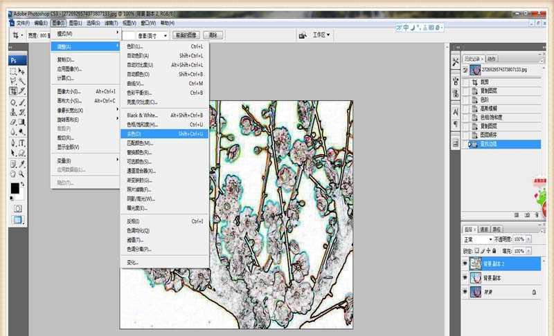 PS怎么将梅花图做成水墨画效果(4)