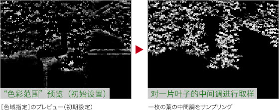 ps如何把绿叶变红叶(5)