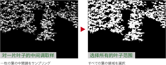 ps如何把绿叶变红叶(8)