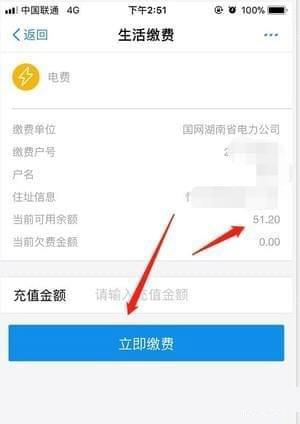 支付宝电费余额怎么查(6)
