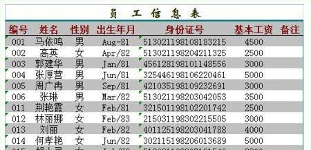 excel身份证号码显示不全怎么办(5)