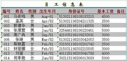 excel身份证号码显示不全怎么办(8)