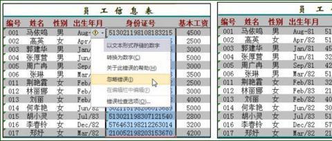 excel身份证号码显示不全怎么办(6)