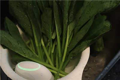让全家人吃得更放心！华硕PureGo蔬果洗净侦测器开箱使用分享(21)