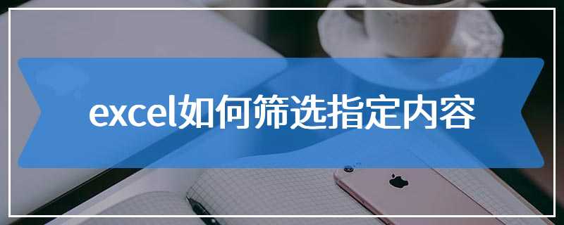 excel如何筛选指定内容