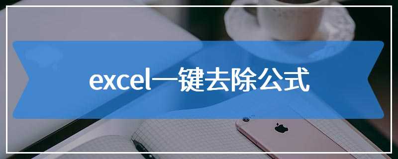 excel一键去除公式