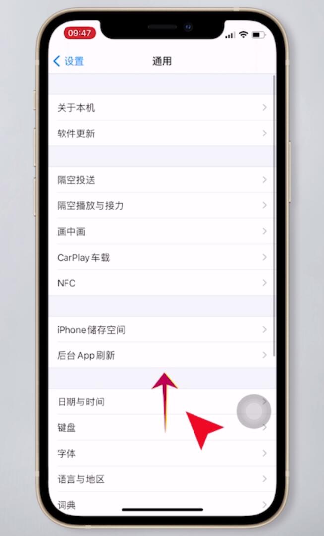 iphone ios14信任设置找不到(2)