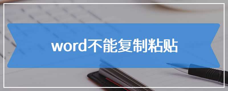 word不能复制粘贴