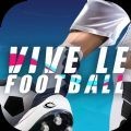 Vive le Football