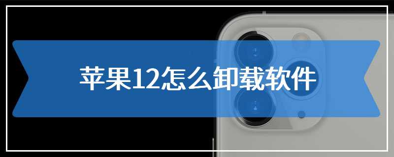 苹果12怎么卸载软件