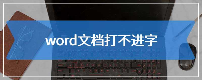 word文档打不进字