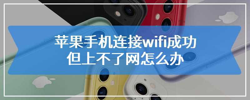 苹果手机连接wifi成功但上不了网怎么办