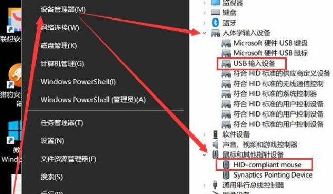 win10鼠标可以移动左右键失灵怎么办(1)