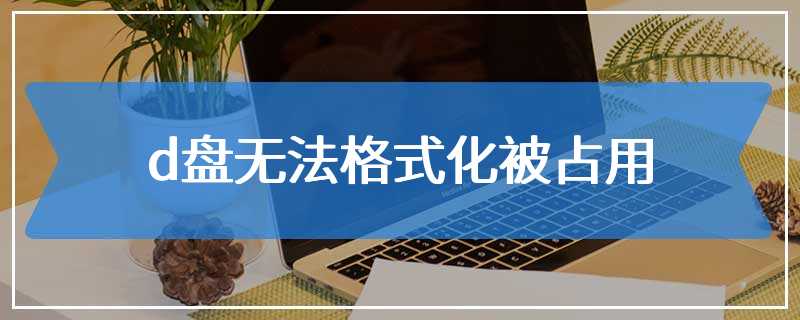 d盘无法格式化被占用