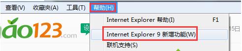 电脑IE浏览器版本信息查看方法