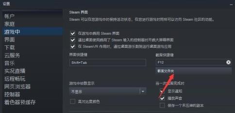 steamf12截图保存位置详情(4)