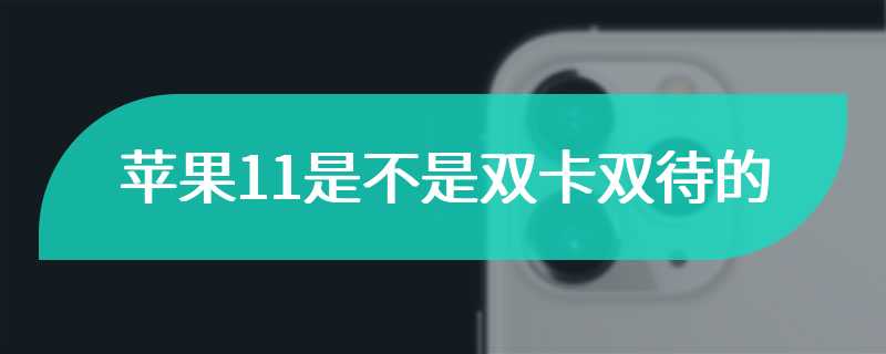 苹果11是不是双卡双待的