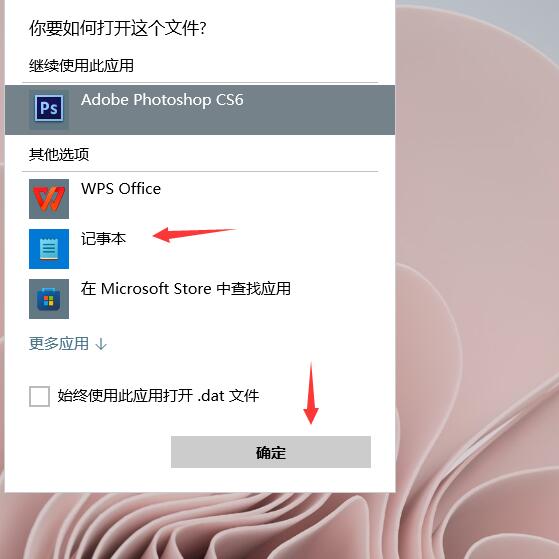 windows11 dat文件用什么软件打开(1)