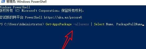 windows11应用商店点了没反应解决方法(1)