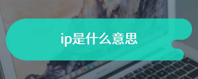 ip是什么意思