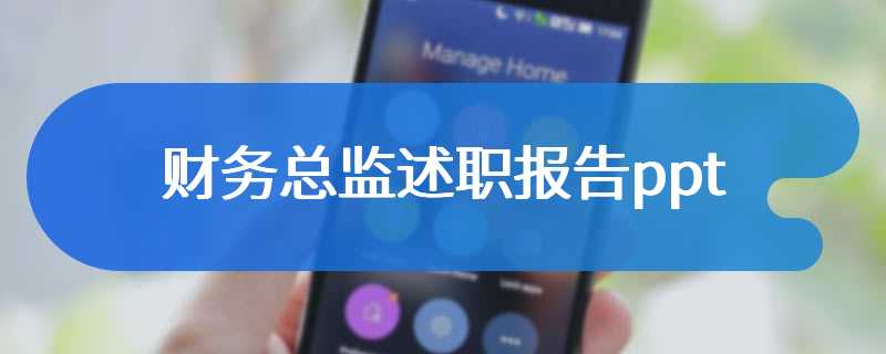 财务总监述职报告ppt