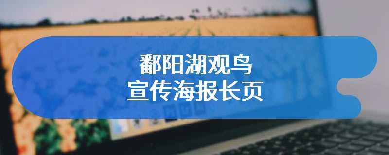 鄱阳湖观鸟宣传海报长页