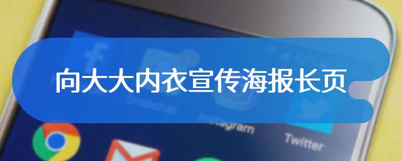 向大大内衣宣传海报长页