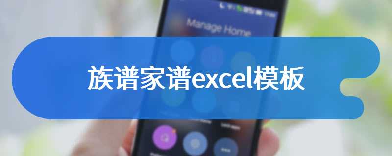 族谱家谱excel模板