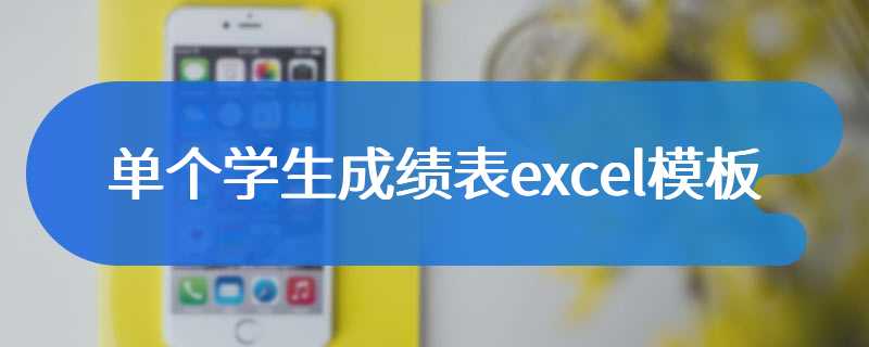 单个学生成绩表excel模板
