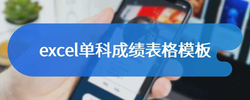 excel单科成绩表格模板