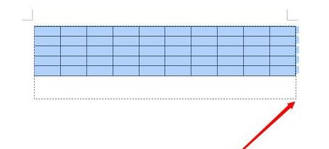 wps表格怎么做11(2)