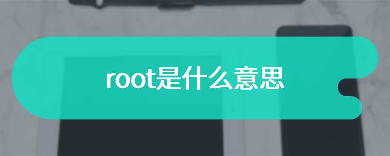 root是什么意思