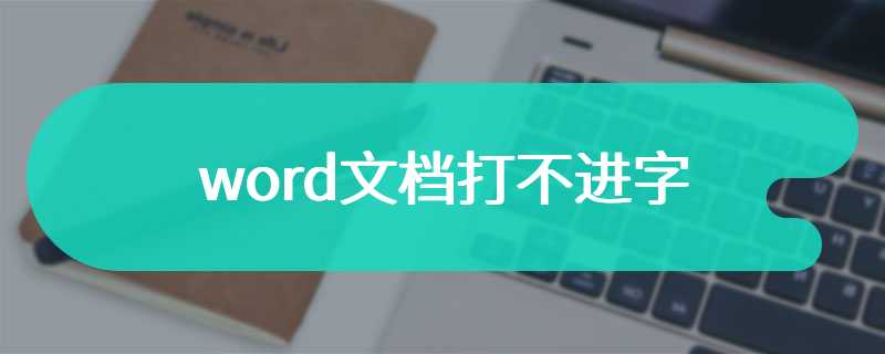 word文档打不进字