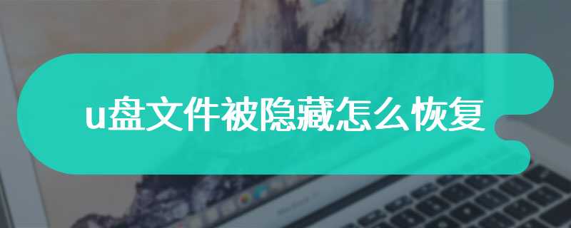 u盘文件被隐藏怎么恢复