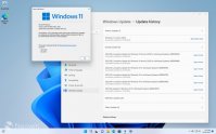 微软发布 Win11 22H2 发布预览版，版本号升至 22621.169