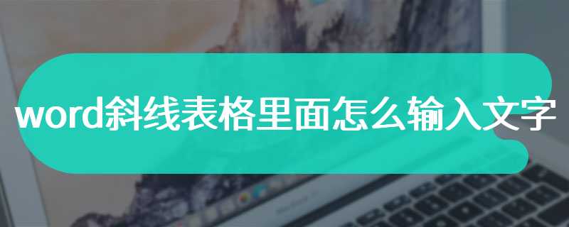 word斜线表格里面怎么输入文字