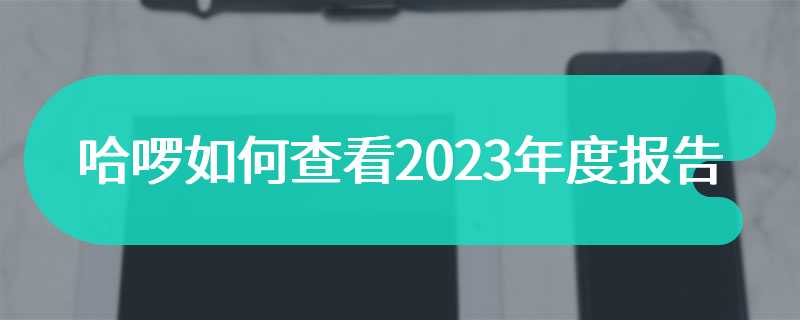 哈啰如何查看2023年度报告