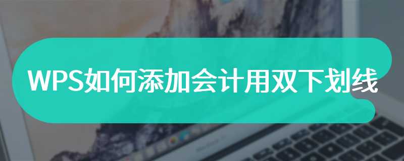 WPS如何添加会计用双下划线