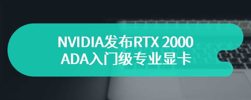 NVIDIA发布RTX 2000 ADA入门级专业显卡 绝对的性价比之王