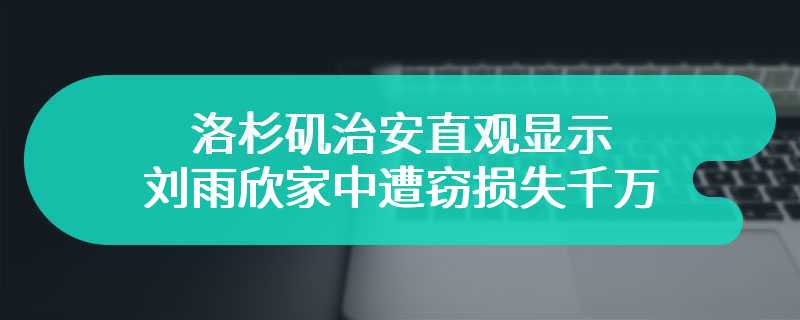 洛杉矶治安直观显示 刘雨欣家中遭窃损失千万