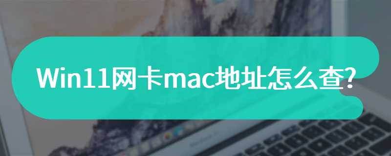 Win11网卡mac地址怎么查?