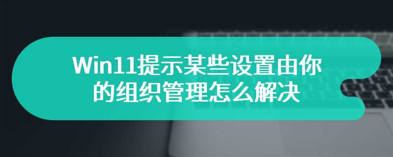 Win11提示某些设置由你的组织管理怎么解决?