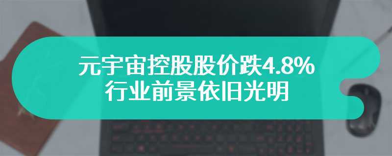 元宇宙控股股价跌4.8%，行业前景依旧光明