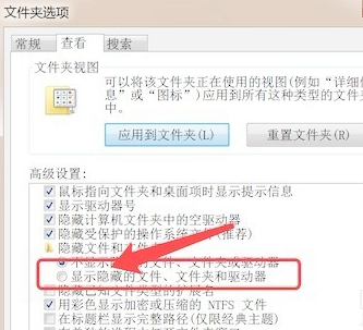 win7怎么查看文件隐藏文件(4)