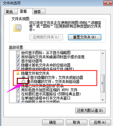 win7系统如何显示隐藏文件(3)