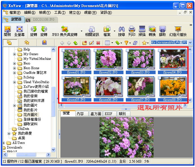 XnView批次转换与撷取萤幕